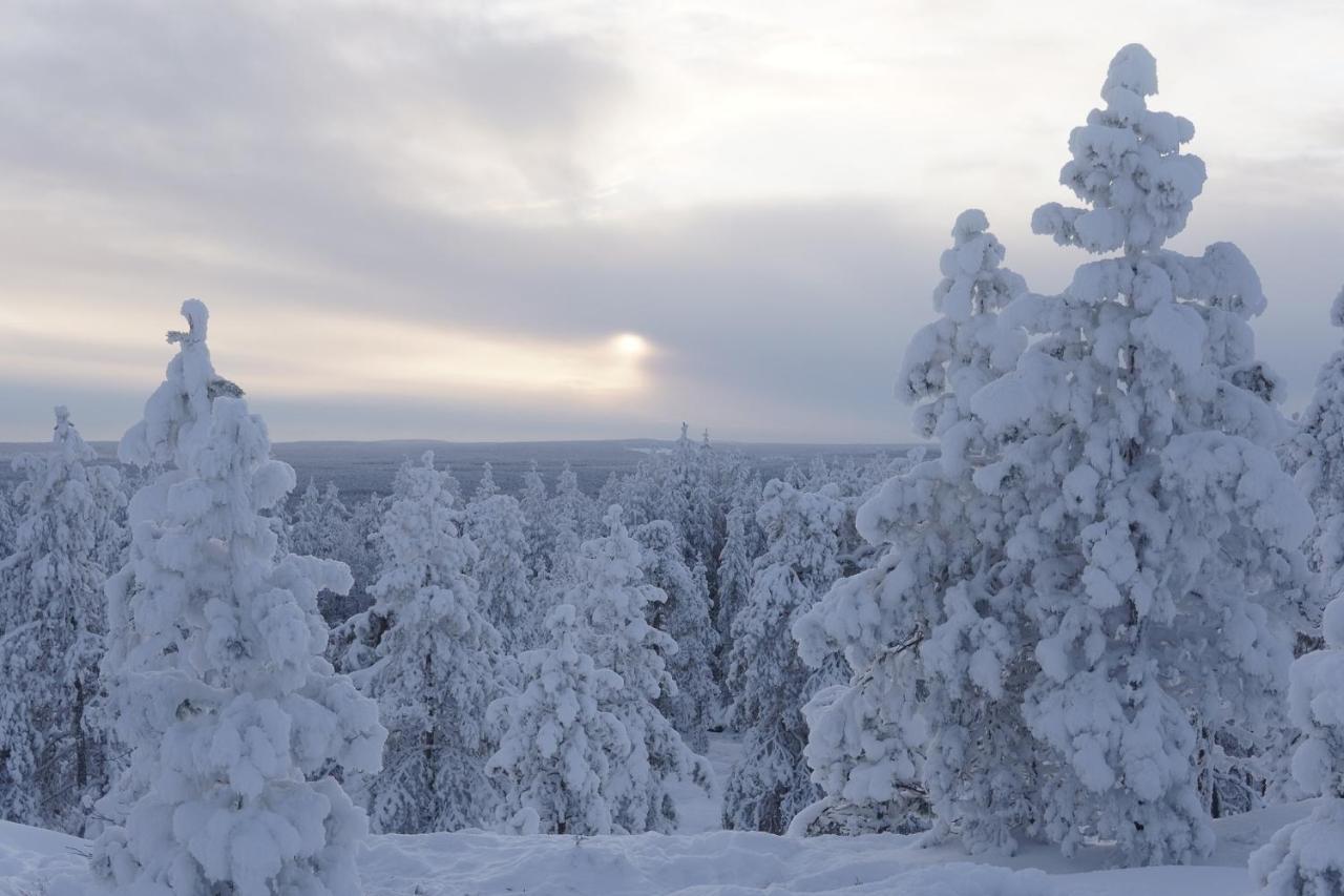 Arctic City Nest Рованіемі Екстер'єр фото